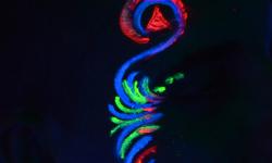 Glow And Paint Party