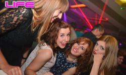 Honey Party