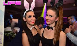 Bunny Go-Go Show